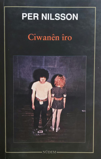 Ciwanên Îro