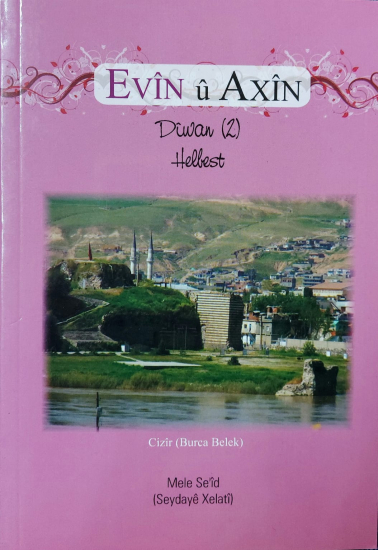 Evîn û Axîn