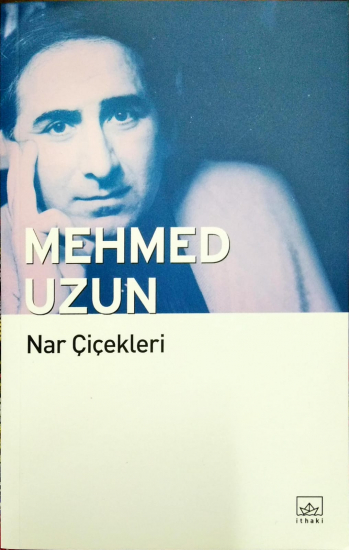 Nar Çiçekleri