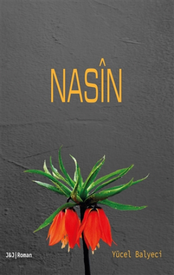 Nasîn