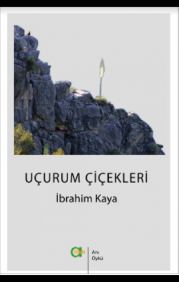 Uçurum Çiçekleri