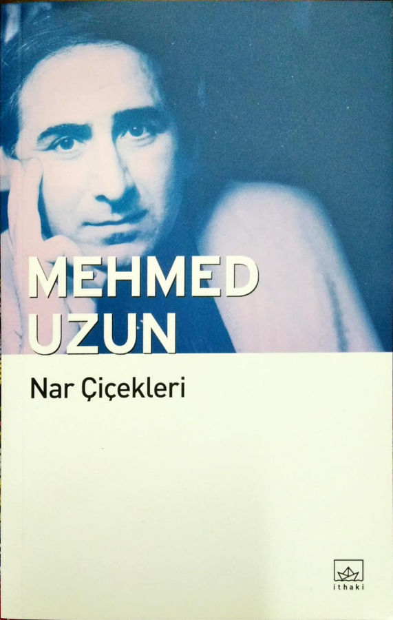 Nar Çiçekleri