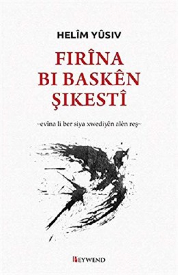 FIRÎNA BI BASKÊN ŞIKESTÎ